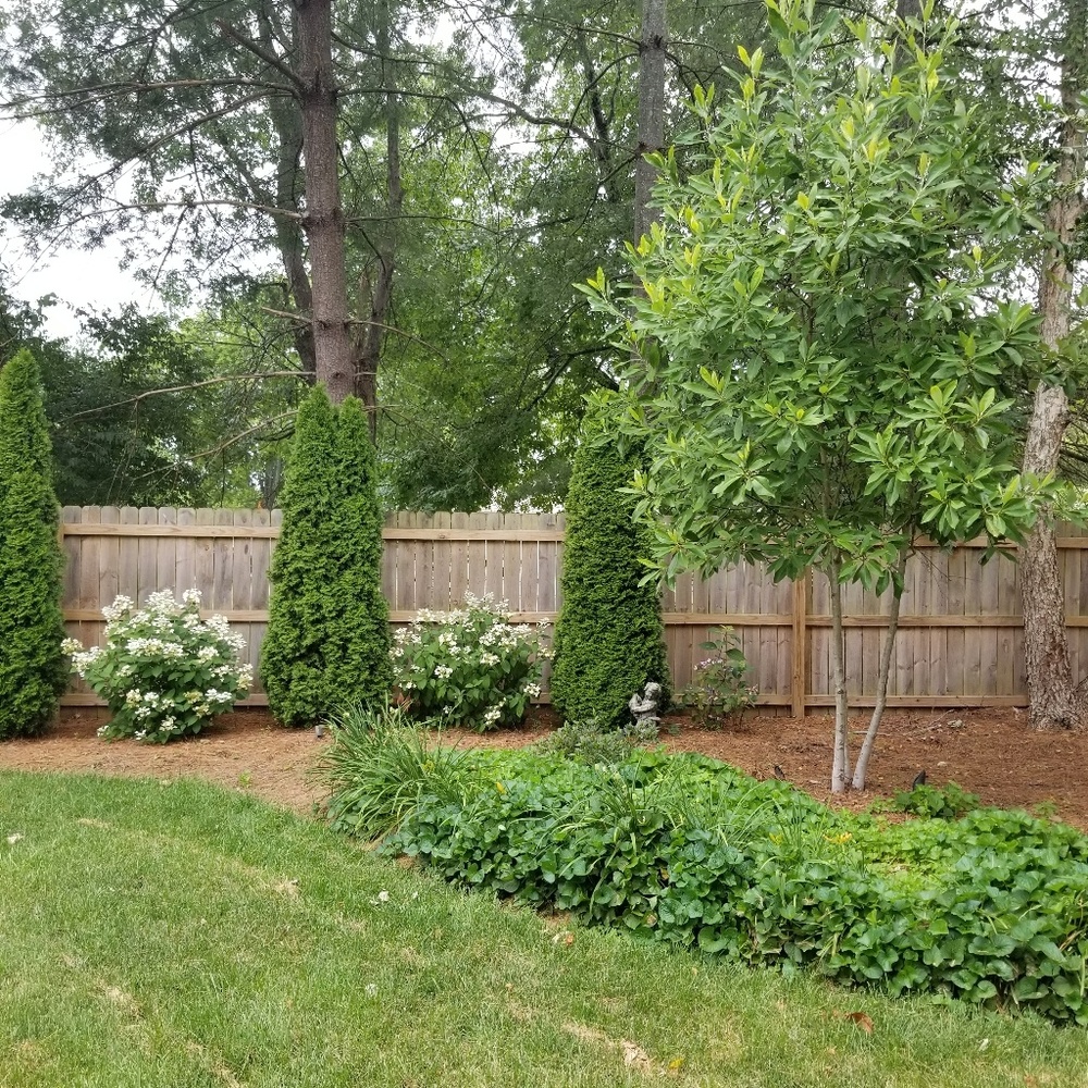 Meet your Posher, Laura anne